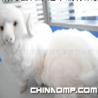 鄂尔多斯羊绒 白中白 无毛山羊绒