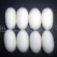 供应做工艺品用蚕茧