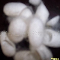 供应桑蚕茧壳,削口茧,美容用蚕茧
