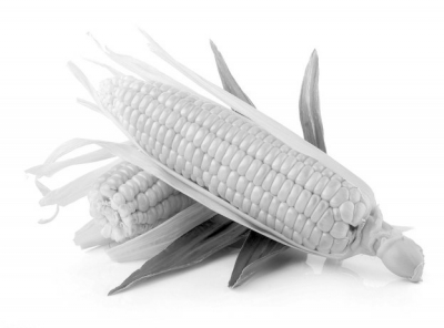 　夏播玉米渐近收获，保障玉米稳产、高产尤为重要。