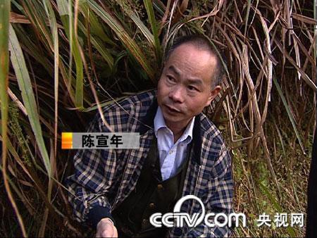 一年抓鼠两万只 年赚财富上千万 老鼠 农业致富经 CCTV7致富经