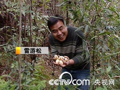 进山养贵妃鸡 年赚500万 鸡 农业致富经 CCTV7致富经 农业