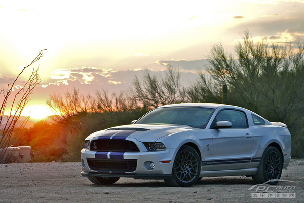 Shelby GT500