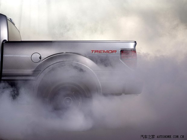 福特福特(进口)福特F-1502014款 Tremor
