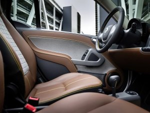 smartsmartsmart fortwo2013款 BoConcept Edition