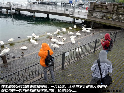10小时的快餐式观光 瑞士苏黎世游记 汽车之家