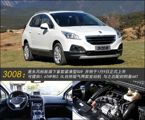 2013年一月八款车型上市 全新QQ/3008领衔