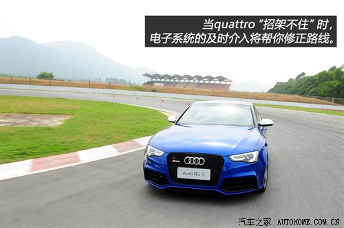 奥迪 奥迪rs 奥迪rs 5 2012款 rs 5 coupe