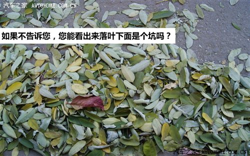 警惕潜在杀手 落叶季节6点用车注意事项 汽车之家