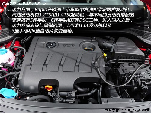 斯柯达 斯柯达(进口) rapid 2013款 tdi 基本型