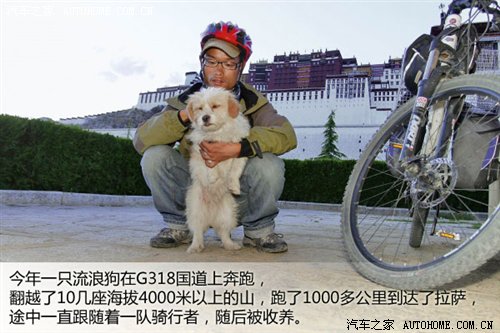 北京出发篇 十一自驾游路线及车型推荐 汽车之家