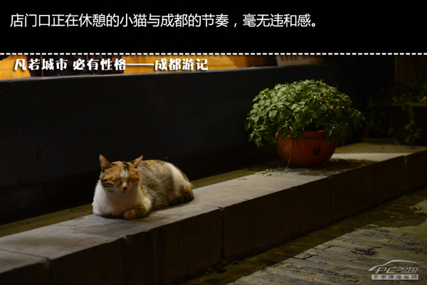 成都游记