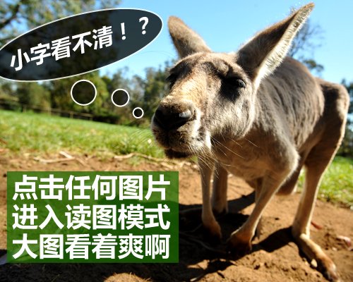 读图