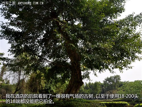 汽车之家
