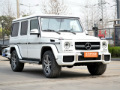 G级AMG 2013款 G63 AMG