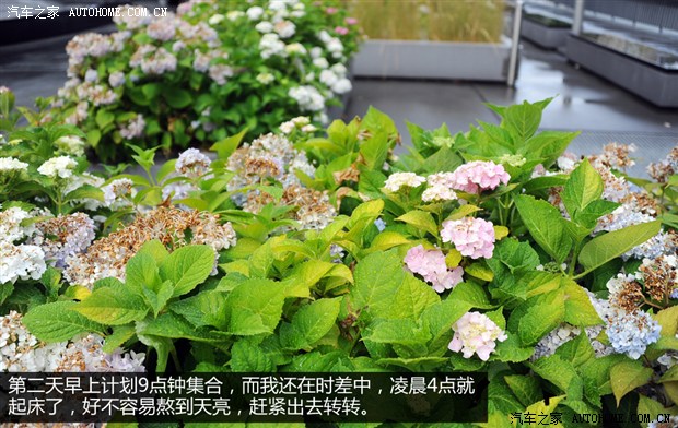 汽车之家