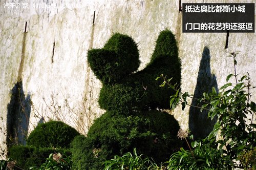 汽车之家
