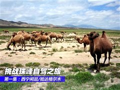 难忘回忆/到世界之巅 挑战珠峰自驾之旅 汽车之家