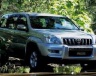 普拉多 4.0L GX 