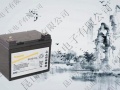 苏州供应美国GNB原装进口S312/65蓄电池