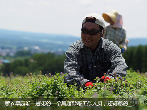 浪漫之旅！奥林巴斯E-P5北海道游记