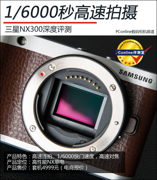 NX300