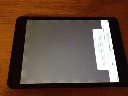 iPad mini2