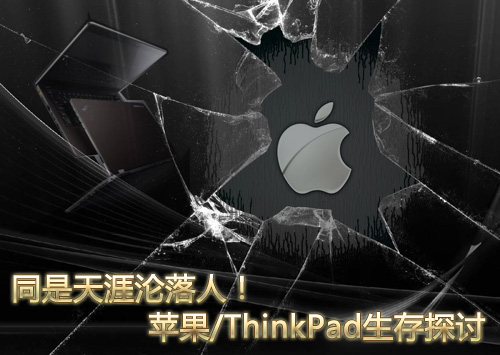 同是天涯沦落人！苹果/ThinkPad生存探讨