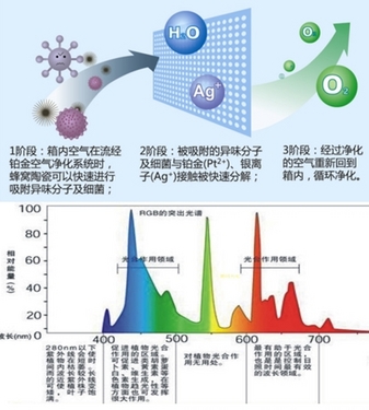 中秋国庆促销 帝度BCD-322WTB领先高端<a href= target=_blank class=infotextkey>冰箱</a>产品