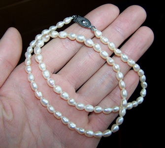 青岛珍珠项链大都产自南方 且成本不高