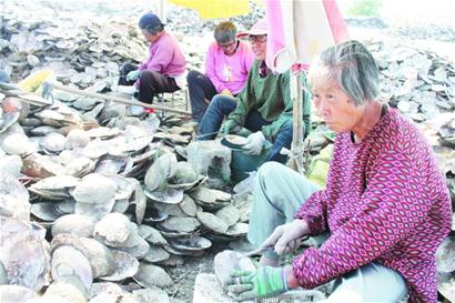 珍珠标价高让人咋舌 其中“水分”也惊人