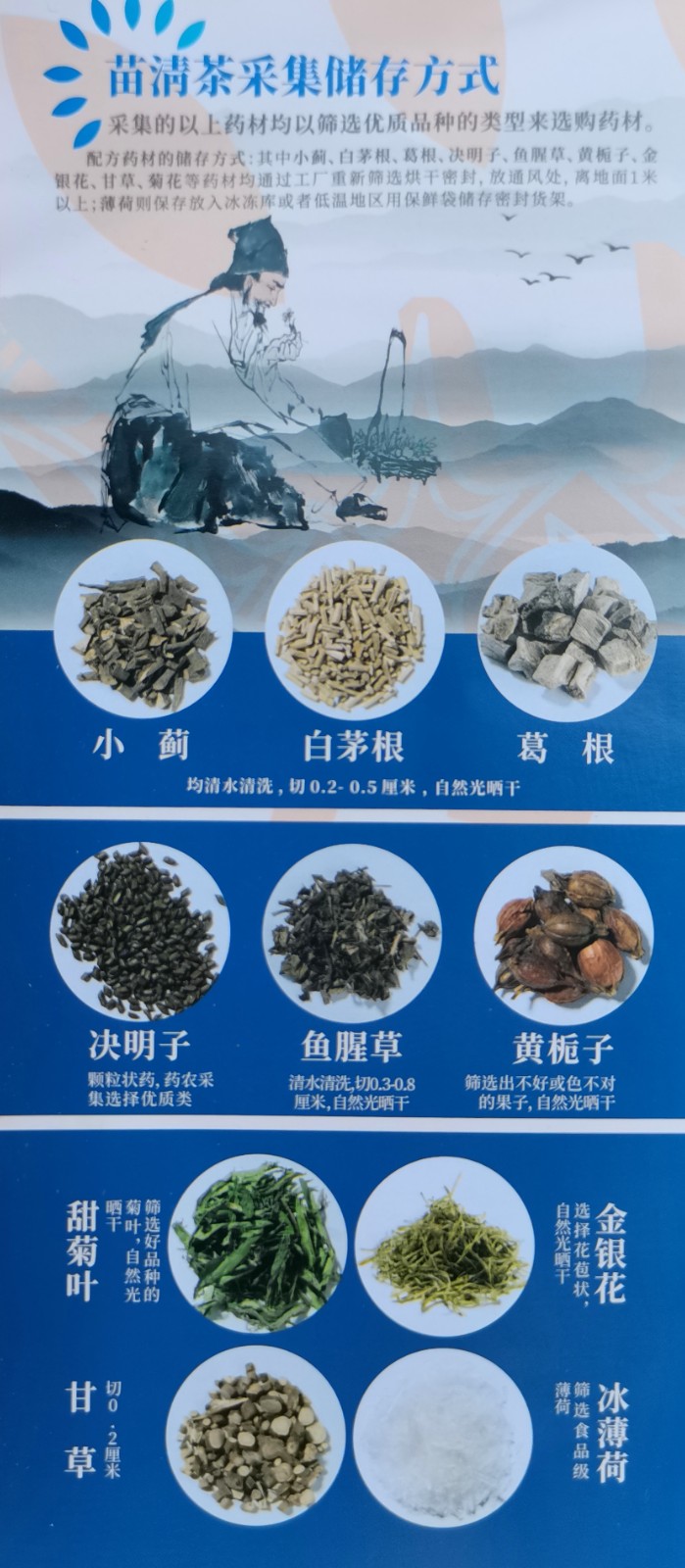 COTV直播-贵州苗晟生物科技有限公司专业摘培深山生态苗清茶系列产品，欢迎大家光临！