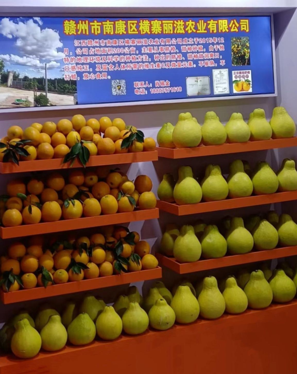 COTV直播-赣州市南康区横寨丽滋农业有限公司专业从事脐橙、甜柚等优良水果的种植摘培产品，欢迎大家光临！