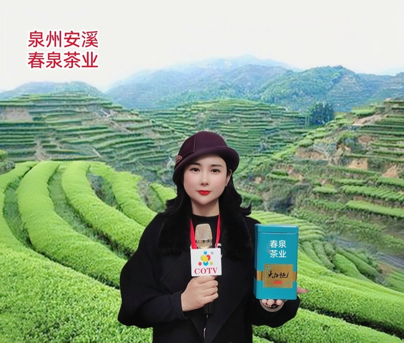COTV直播-泉州安溪城厢茶都春泉茶业采摘生产高山“铁观音”系列健康茶叶，欢迎大家光临！