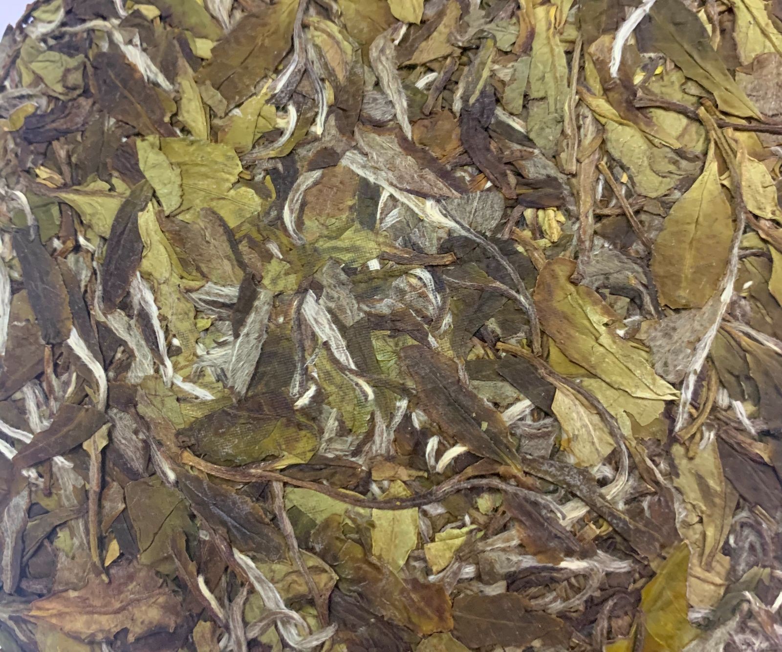 COTV直播-福建省益馨茗茶业有限公司生产销售福鼎白茶、白牡丹茶、大红袍茶、茉莉花茶及各种绿茶、红茶系列产品，欢迎大家光临！