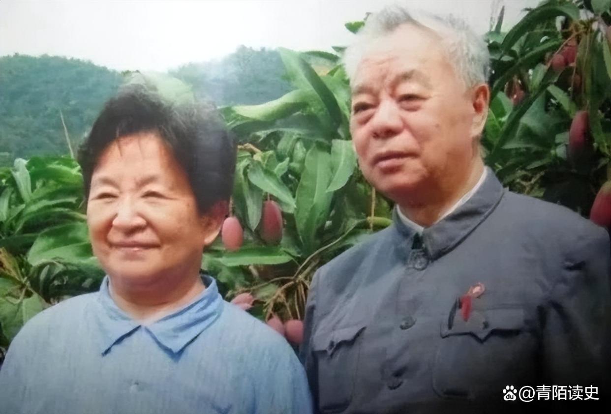 1996年，刘源和李讷在三峡见面，刘源激动地说：姐姐，我都想您了