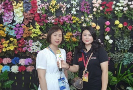 COTV全球直播-安徽希捷仿真花卉有限公司生产各种仿真植物产品、特大仿真龟背树、大小型葵树；手感旅人蕉、芭蕉树、植物墙等仿真植物产品，欢迎大家光临！