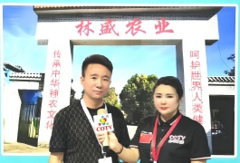 COTV全球直播-洛阳林盛农业开发有限公司专业种植培育、采摘、加工生产生态植物黄精初级产品及深加工生产的黄精茶、黄精粉及土蜂蜜等产品，欢迎大家光临！