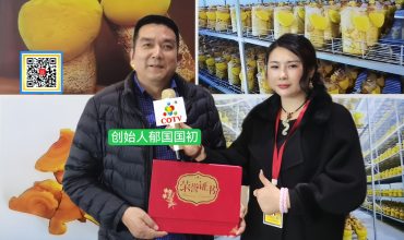 COTV全球直播-浙江康脉农业科技有限公司专业培植、加工生产“济世芳”品牌桑树·桑黄系列生态养生产品，欢迎大家光临！