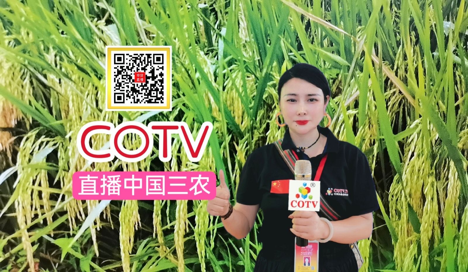 COTV三农：安徽农产品加工业发展稳中向好