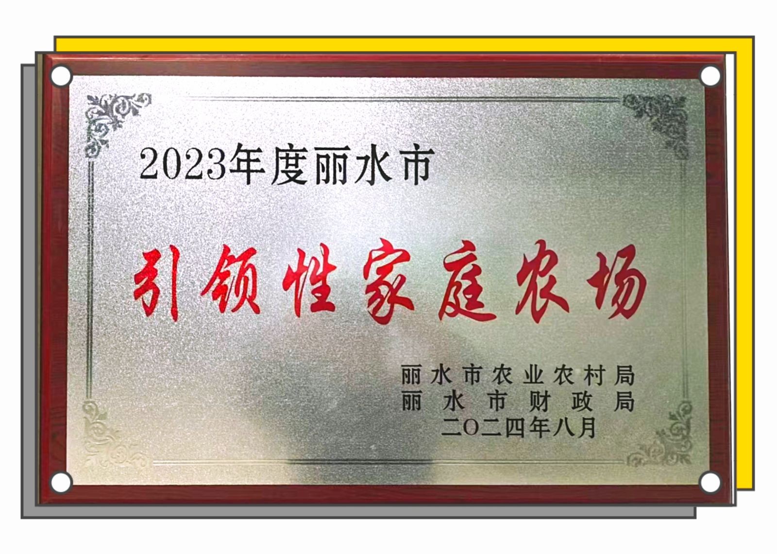 COTV全球直播-龙泉市家禾家庭农场专业生产各种绿茶、红茶、白茶、高山绿茶、柑桔，桔子，橙子，私房茶叶等高山茶叶，欢迎大家光临！