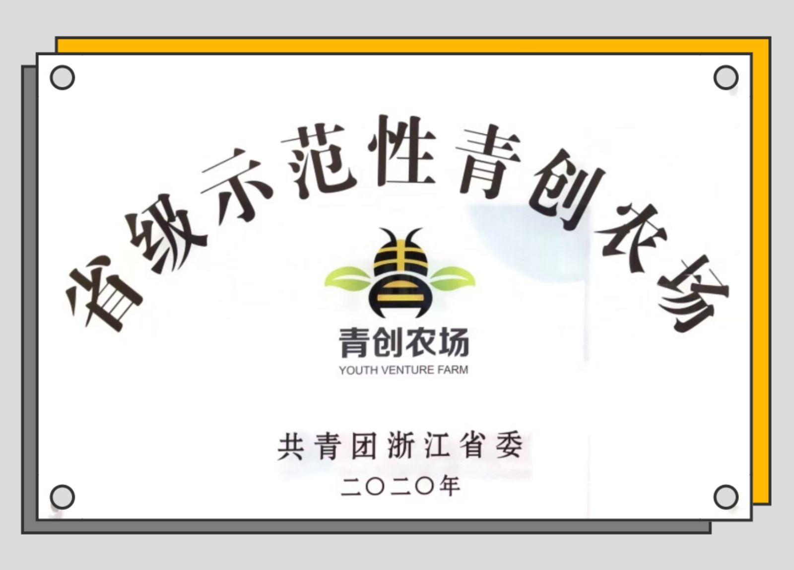 COTV全球直播-三门县稞地家庭农场专业生产各种瓜果、各种蔬菜、南瓜、小海鲜、葡萄、红美人桔子，草莓、甜瓜、大米、青蟹、蛏子，血蛤等时鲜产品，欢迎大家光临！