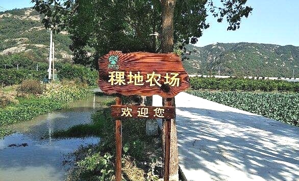 COTV全球直播-三门县稞地家庭农场专业生产各种瓜果、各种蔬菜、南瓜、小海鲜、葡萄、红美人桔子，草莓、甜瓜、大米、青蟹、蛏子，血蛤等时鲜产品，欢迎大家光临！