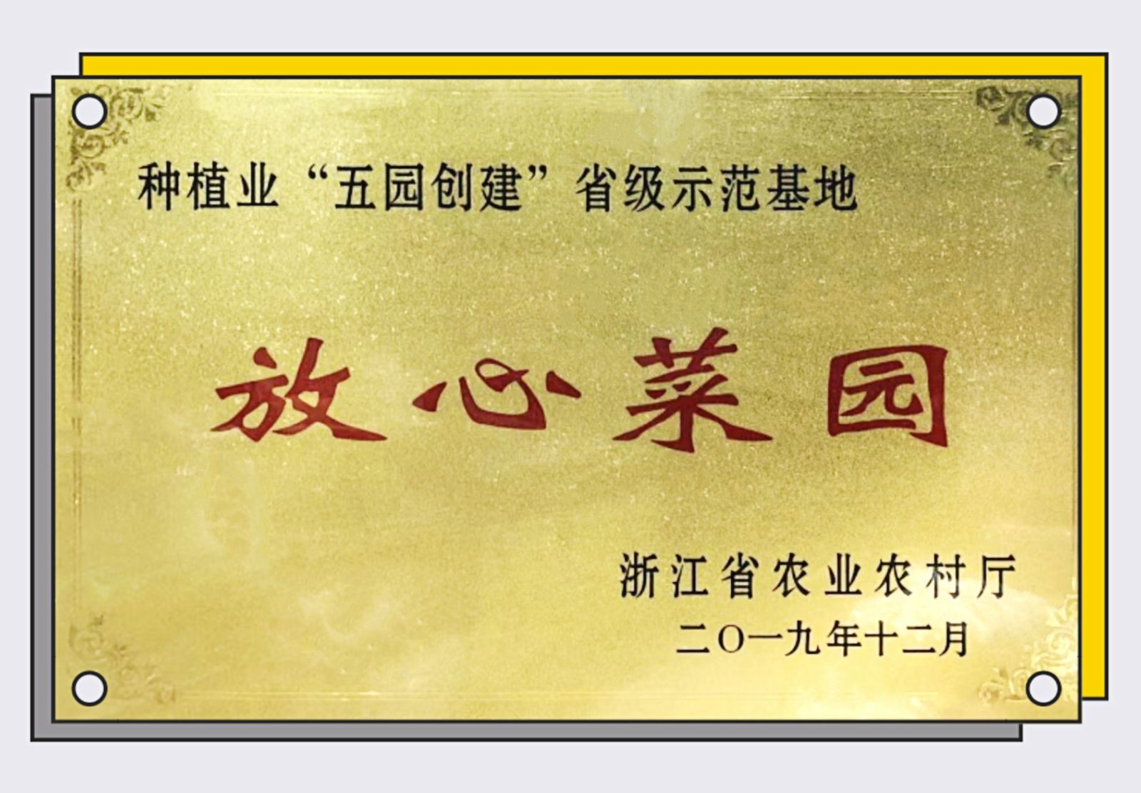 COTV全球直播-三门县稞地家庭农场专业生产各种瓜果、各种蔬菜、南瓜、小海鲜、葡萄、红美人桔子，草莓、甜瓜、大米、青蟹、蛏子，血蛤等时鲜产品，欢迎大家光临！