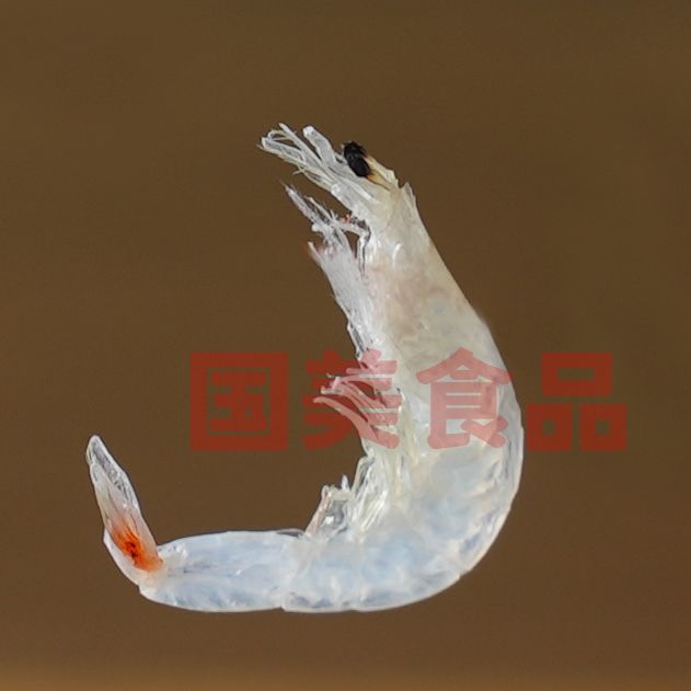 COTV全球直播-温州国美食品有限公司专业经营“宜山宝海”品牌系列鮸鱼饼、马鲛鱼饼，烤黄花鱼，大黄鱼，烤虾，九节虾，淡干虾皮、酱香黄鱼片、干虾仁等海鲜美食，烤制专业、味道鲜美，欢迎大家光临！