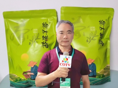 COTV全球直播-开化县柳叶蜡梅茶叶加工厂专业采摘、加工生产: 源自海拔1200多米的开化县古田山茶园，生产的“柳叶蜡梅”茶具有多种人体有益成份，是理想的修心养生茶，欢迎大家光临！