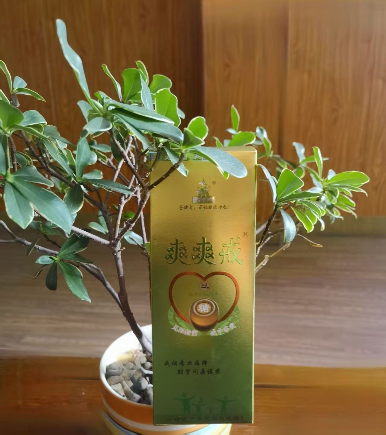 COTV全球直播-东阳市苍健医药有限公司专业研发生产：“苍健”、“爽爽戒”戒烟糖、食用“乌头糕”系列健康养生产品，欢迎大家光临！