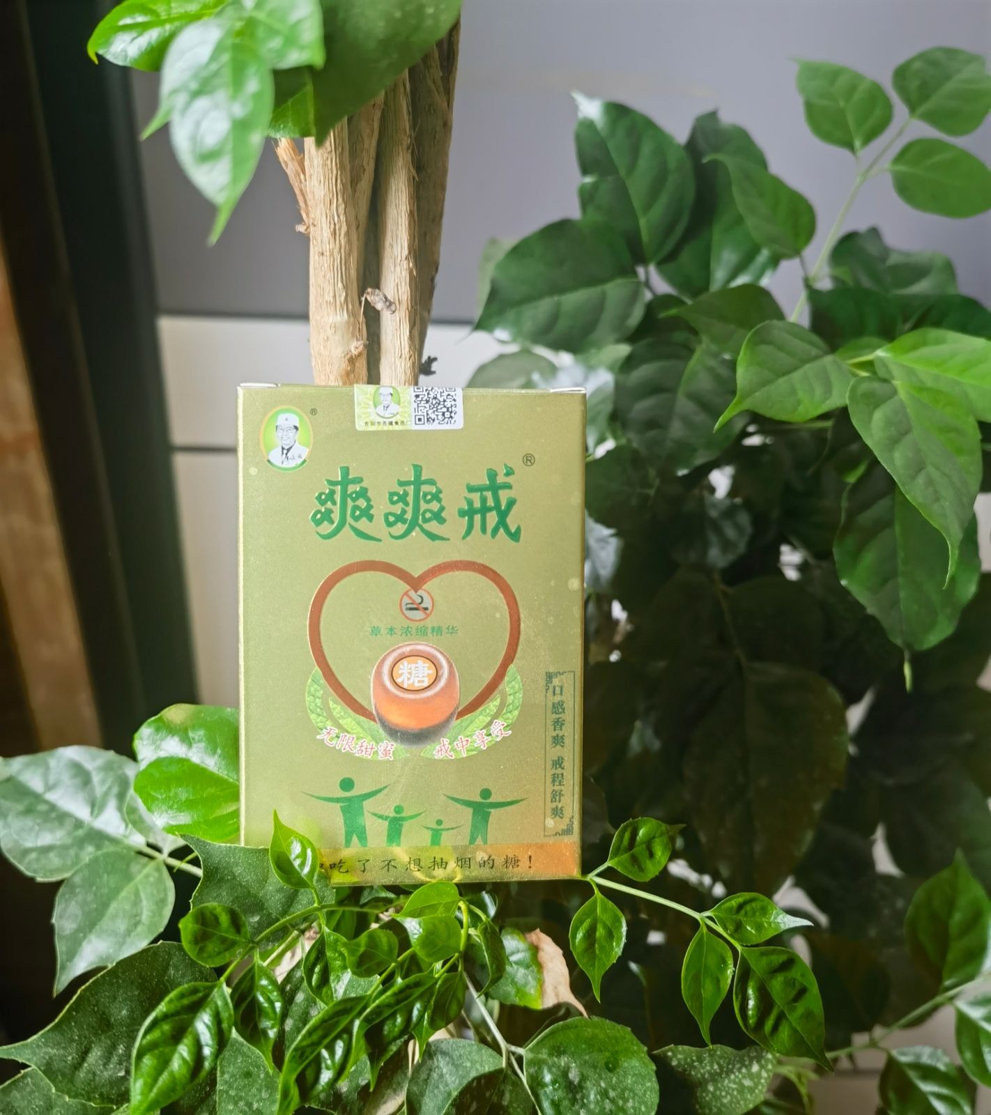 COTV全球直播-东阳市苍健医药有限公司专业研发生产：“苍健”、“爽爽戒”戒烟糖、食用“乌头糕”系列健康养生产品，欢迎大家光临！