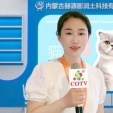 COTV全球直播-内蒙古赫源膨土科技有限公司专业生产膨润土猫砂、矿砂、木薯猫砂、豆腐猫砂等猫科类宠物猫砂产品；广泛应用于猫科宠物的生理需求，欢迎光临！
