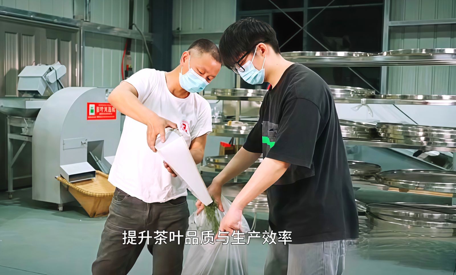 COTV全球直播-舒城县汤池镇龙眠村南风岗茶厂专业加工生产源自1300多米青山绿水的大别山余脉舒城高山茶林，专业生产“惠芷幽兰”牌小兰花茶叶、“惠芷兰”牌茶籽油等生态绿色产品，陈爱飞欢迎大家光临！